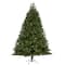 7ft. Pre-Lit Oregon Spruce Artificial Christmas Tree with Multifunction Warm White Microdot LED Lights with Instant Connect Technology
